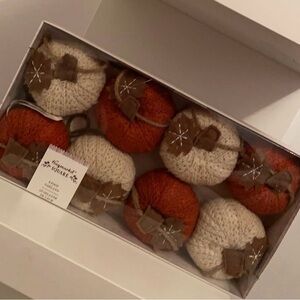 Cozy Knit Pumpkin garland Decor Set